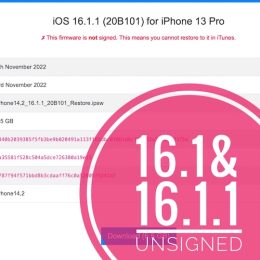 iOS 16.1.1 unsigned