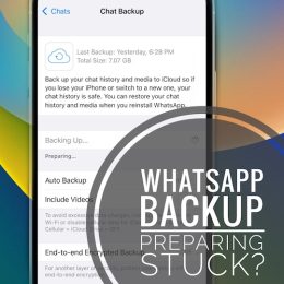 WhatsApp backup not working iOS 16