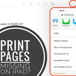 Print option missing from pages