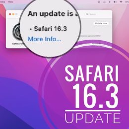 Safari 16.3 update