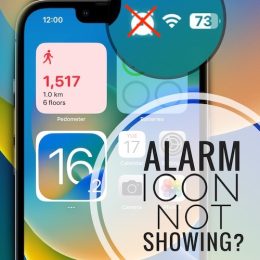 alarm icon not showing on iPhone