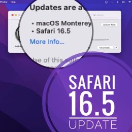 safari 16.5 update