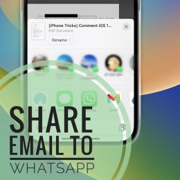 share email to whatsapp on iphone
