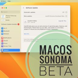 macOS Sonoma beta