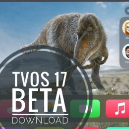 tvOS 17 beta
