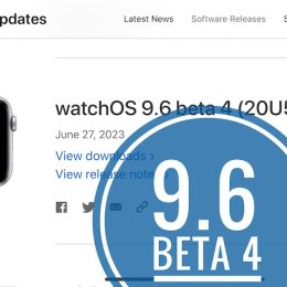 watchos 9.6 beta 4