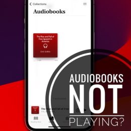 audiobooks not playing ios 17 issue