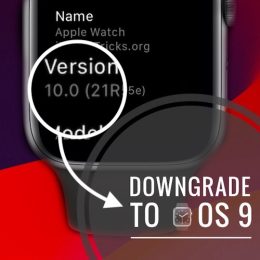 downgrade watchos 10 to 9