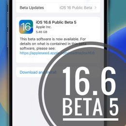 iOS 16.6 beta 5