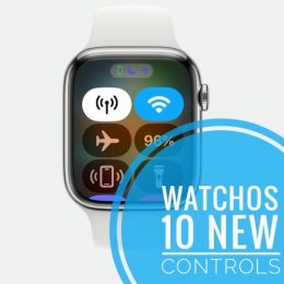 watchos 10 new controls