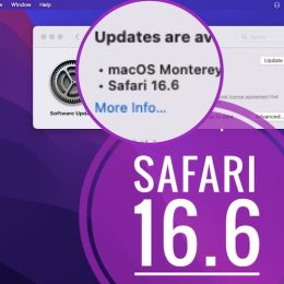 safari 16.6 update