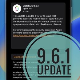 watchos 9.6.1 update