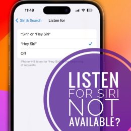 listen for siri not working ios 17