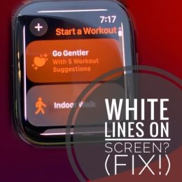 white lines on apple watch screen