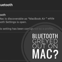 bluetooth greyed out on mac in macos sonoma