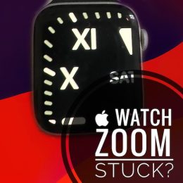 apple watch zoomed in